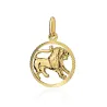 ⭐ Zawieszka znak zodiaku LEW ♥ Ergold