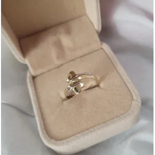 Lady Glamour Gold Ring P1.530