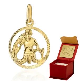 ⭐ Anhänger Sternzeichen WASSERMANN ♥ Ergold
