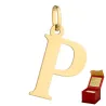 ⭐ Anhänger goldener Buchstabe P große ♥ Ergold