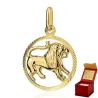 ⭐ Zawieszka znak zodiaku LEW ♥ Ergold