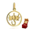 ⭐ Zawieszka znak zodiaku SKORPION ♥ Ergold