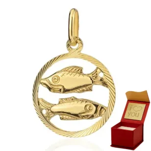 ⭐ Anhänger Sternzeichen FISCHE ♥ Ergold