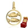⭐ Anhänger Sternzeichen FISCHE ♥ Ergold